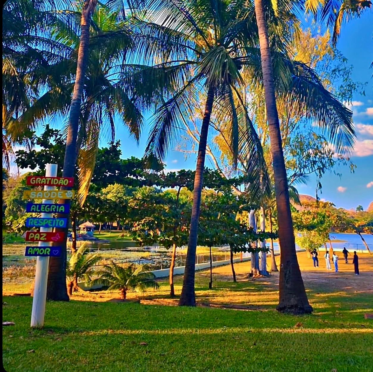 Paisagem, Campismo, Piquenique