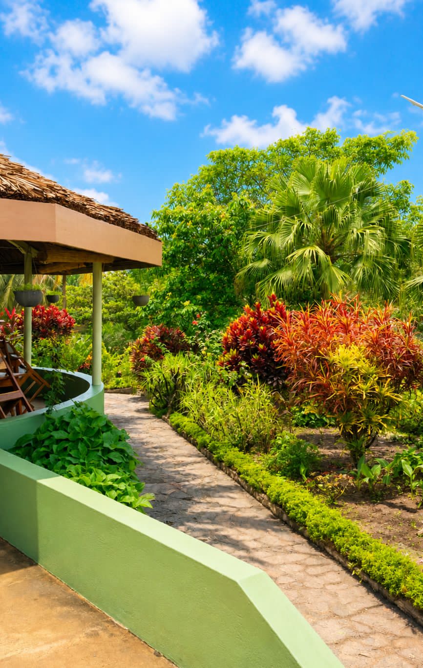 Paisagem, Bar, Restaurante